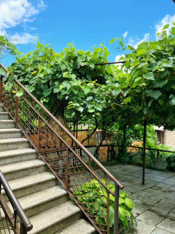Achela'S Guesthouse Borjomi Bagian luar foto