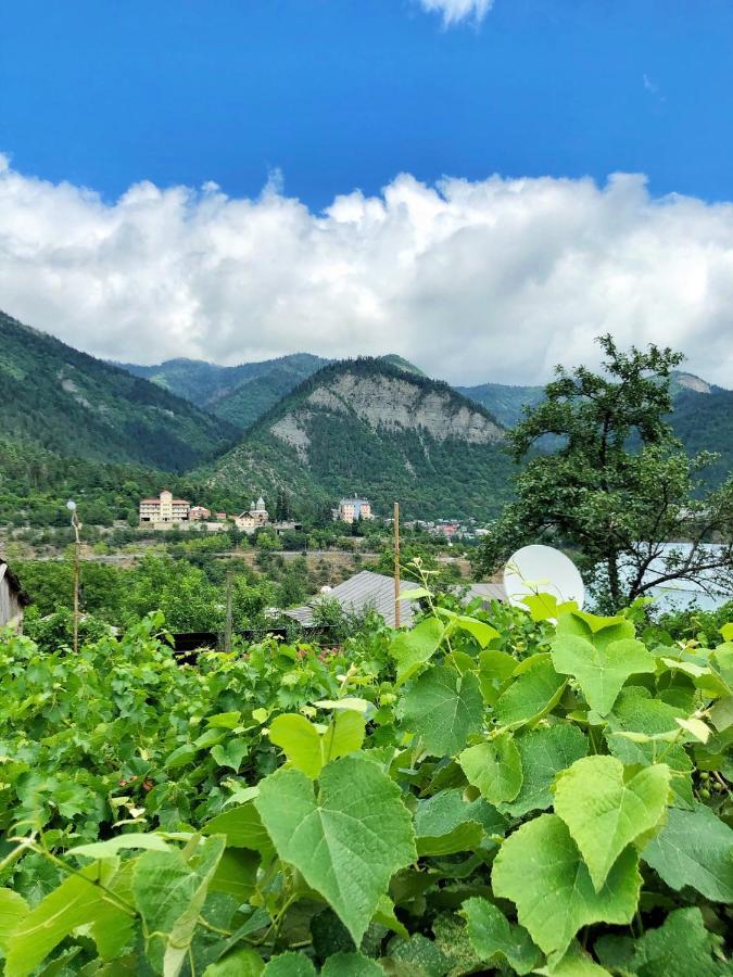 Achela'S Guesthouse Borjomi Bagian luar foto