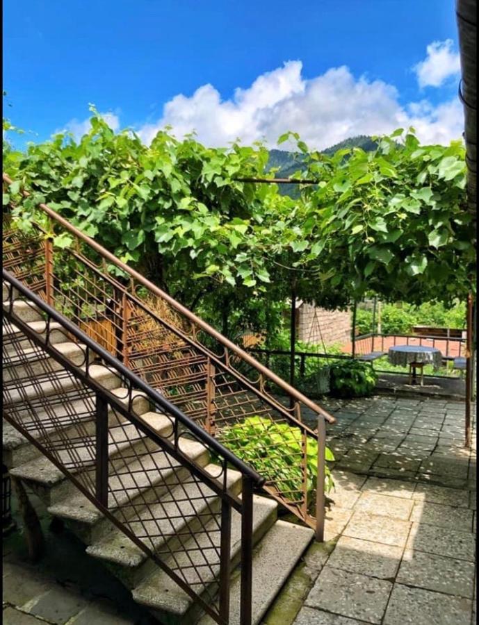 Achela'S Guesthouse Borjomi Bagian luar foto