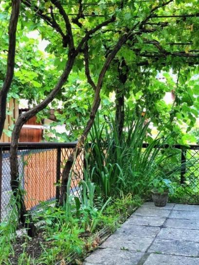 Achela'S Guesthouse Borjomi Bagian luar foto